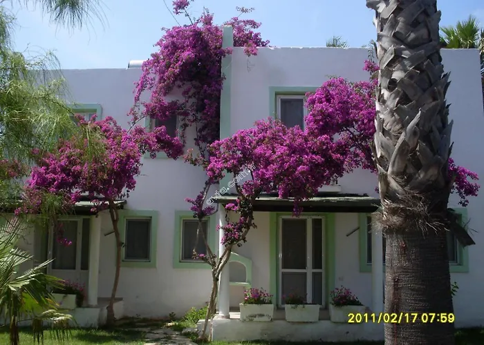 Avta Tatil Koeyue Дом отдыха *